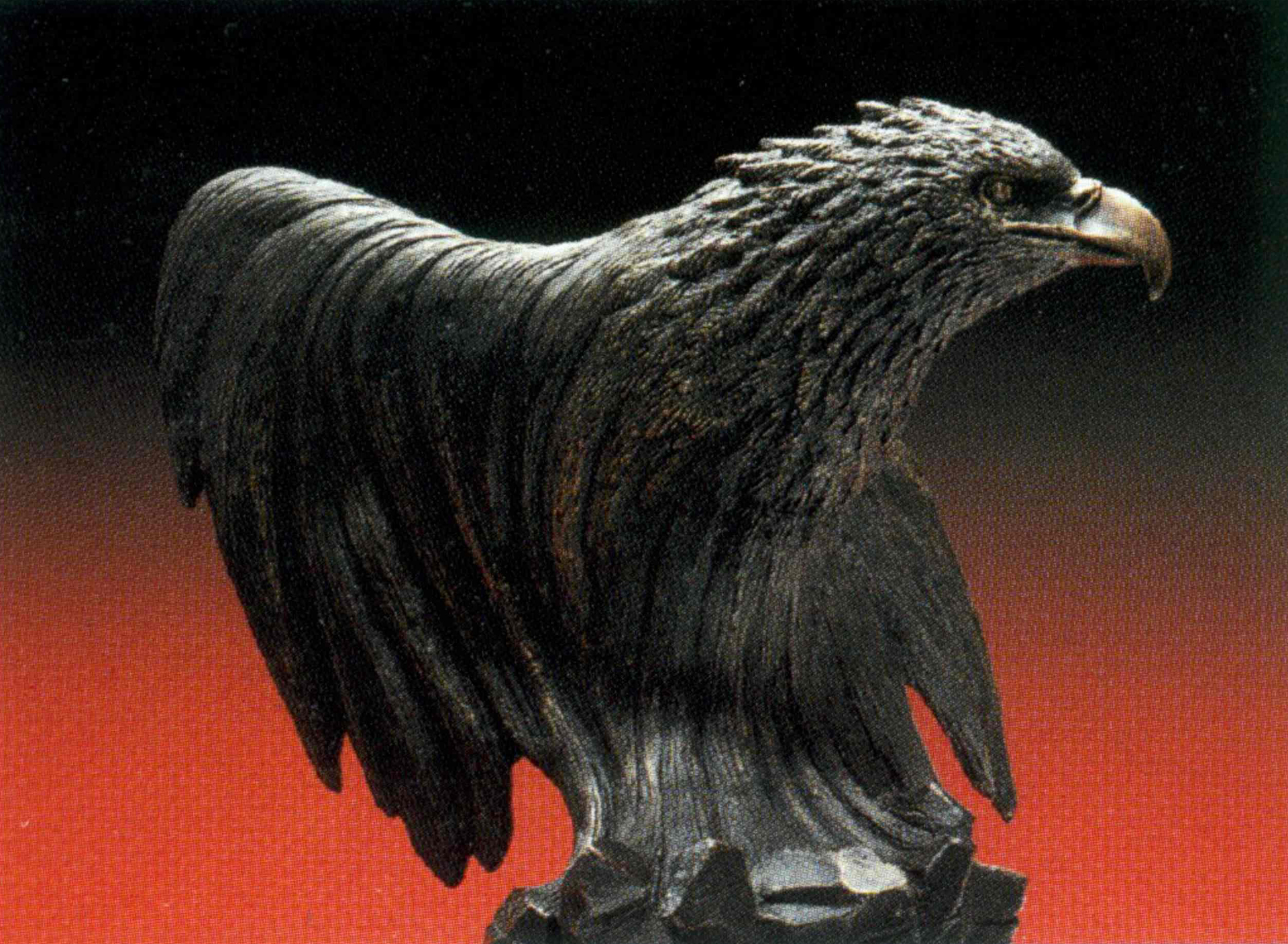 &Aacute;guila G. Acci&oacute;n