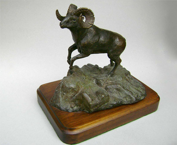 Borrego Cimarr&oacute;n