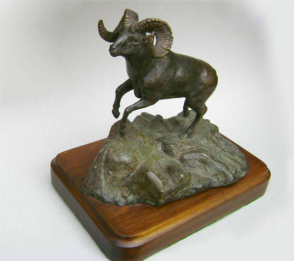 Borrego Cimarr&oacute;n