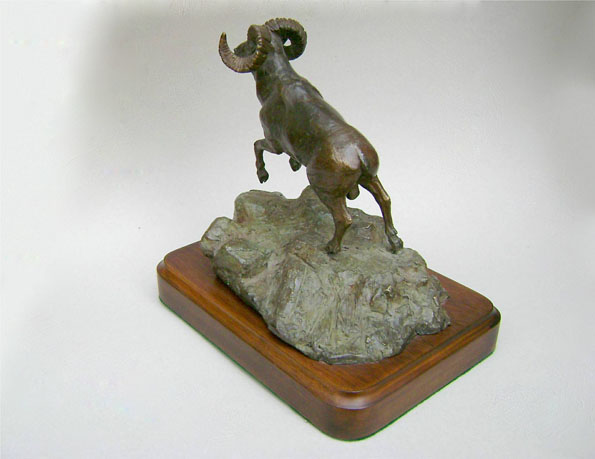 Borrego Cimarr&oacute;n