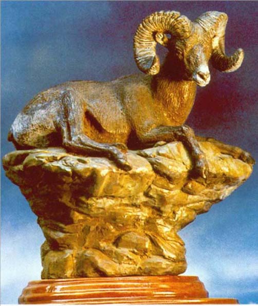 Borrego cimarr&oacute;n